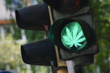 So beheben Sie Cannabis-Beeinträchtigungen in Ihrer Flotte